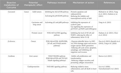 Role of Curcuma longae Rhizoma in medical applications: research challenges and opportunities